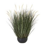 Large Fountain Grass Plant In Pot 81CM - Large Fountain Grass Plant In Pot 81CM Sterling Home 1