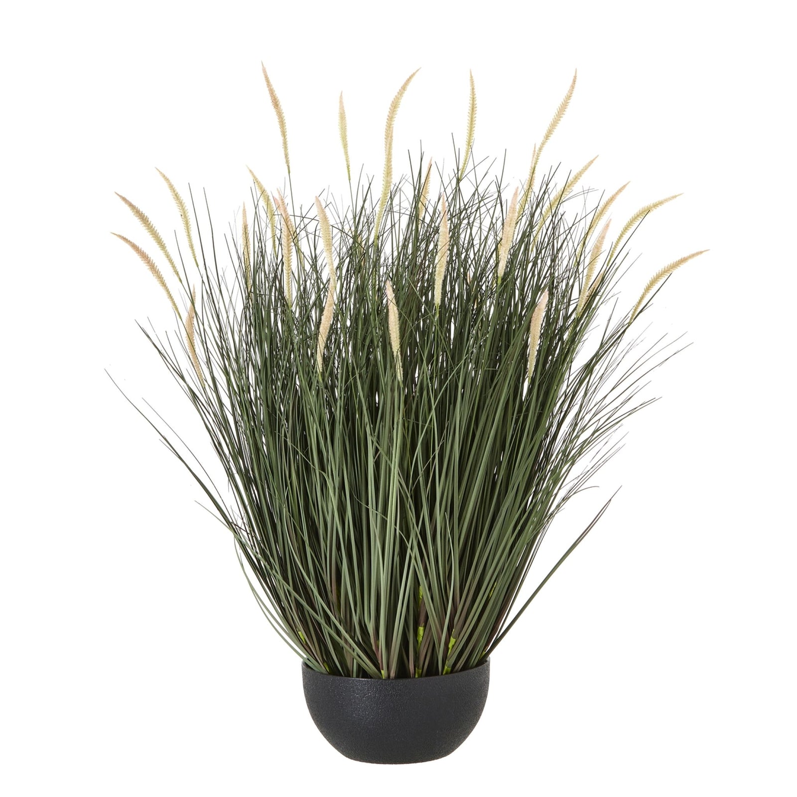 Large Fountain Grass Plant In Pot 81CM - Large Fountain Grass Plant In Pot 81CM Sterling Home 1