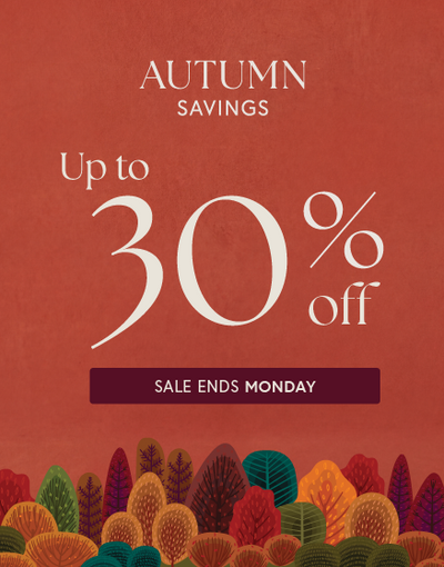 Shop Top Offers