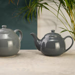 Siip Solid Glaze 6 Cup Teapot Grey Sterling Home 1