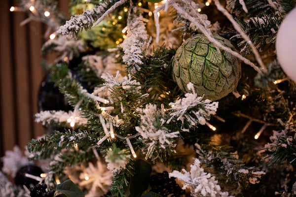 Explore Christmas Decorations