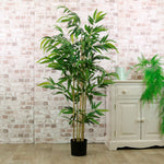 Potted Bamboo 150CM - Potted Bamboo 150CM Sterling Home 1