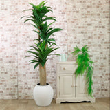 Potted Yucca Tree 160CM