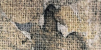 4120 : Sage Antique Limoges Floral Print swatch