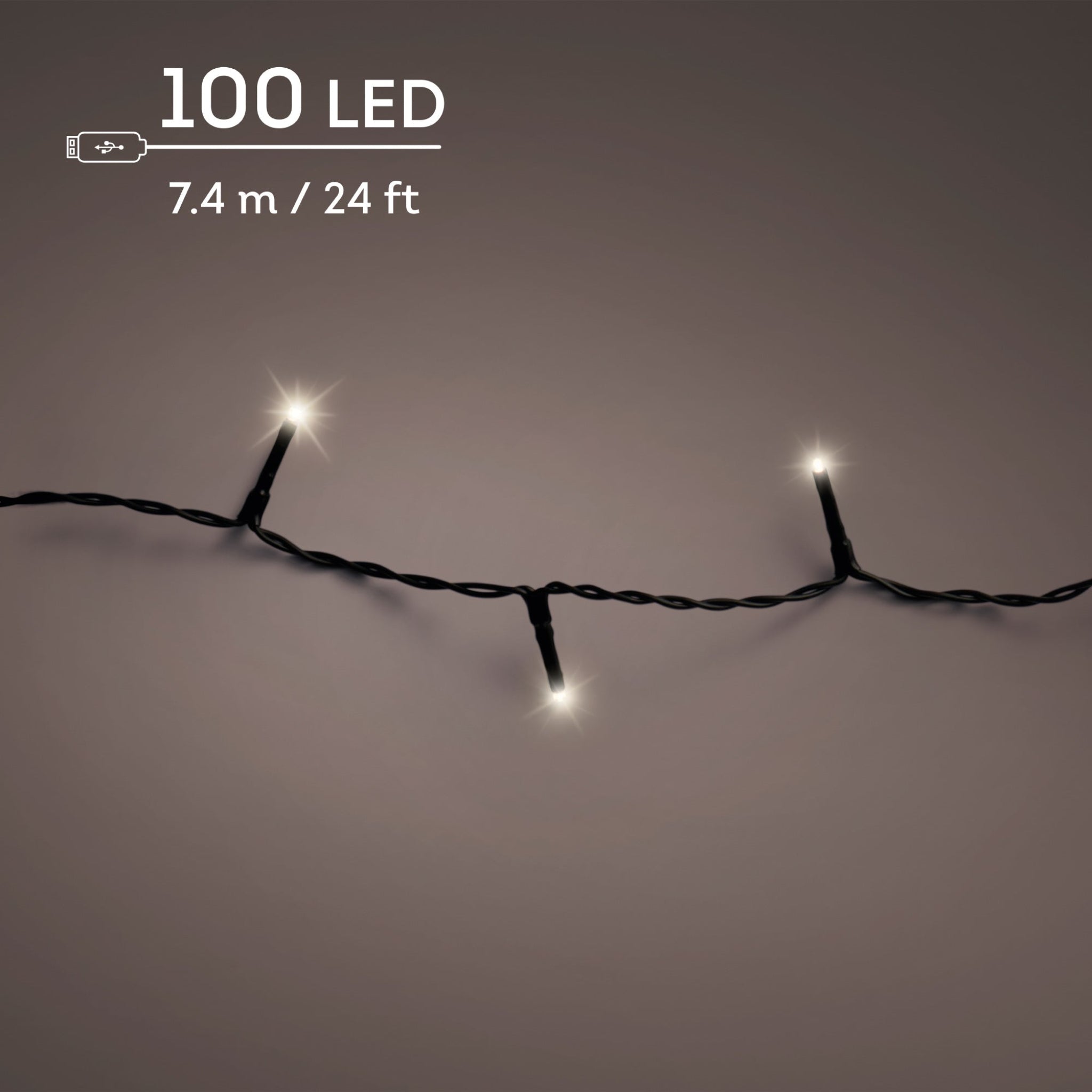 Twinkle Effect 100 LED Duracharge Battery Operated Outdoor Lights - 100 Duracharge Twinkle LED BO Outdoor Lights Sterling Home 2