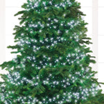 Cluster 1512 LED Cool White Lights - 1512 Cool White LED Cluster Lights Sterling Home 3