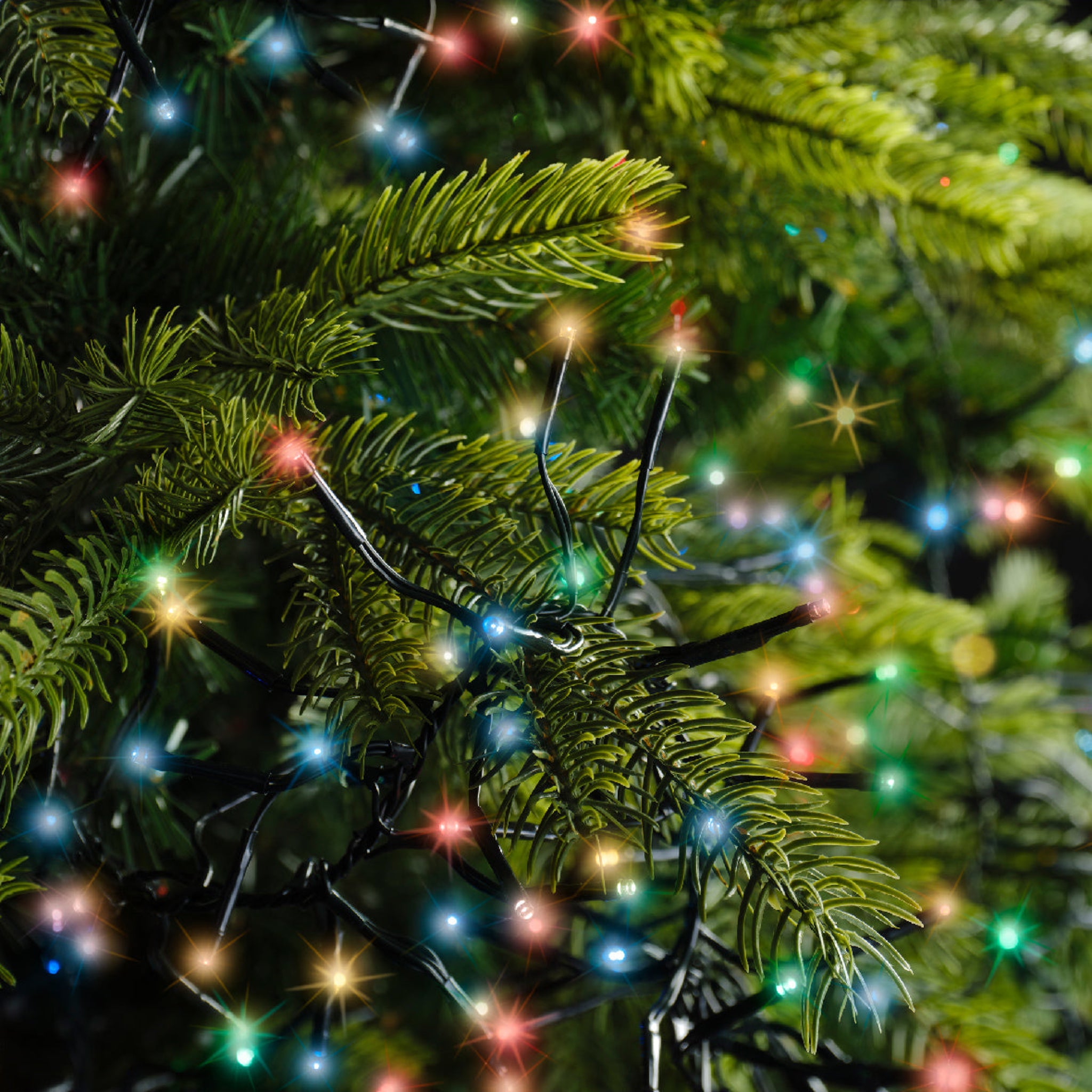 Cluster 1512 LED Multi Coloured Lights - 1512 Multi Coloured LED Cluster Lights Sterling Home 2