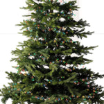 Compact 1000 LED Multi Coloured Lights - 1000 Multi Coloured LED Compact Lights Sterling Home 3