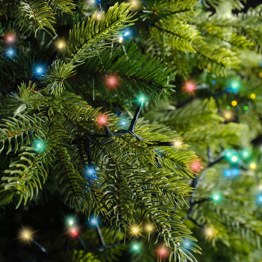 Compact 1000 LED Multi Coloured Lights - 1000 Multi Coloured LED Compact Lights Sterling Home 2