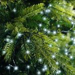 Compact 1000 LED Cool White Lights - 1000 Cool White LED Compact Lights Sterling Home 2