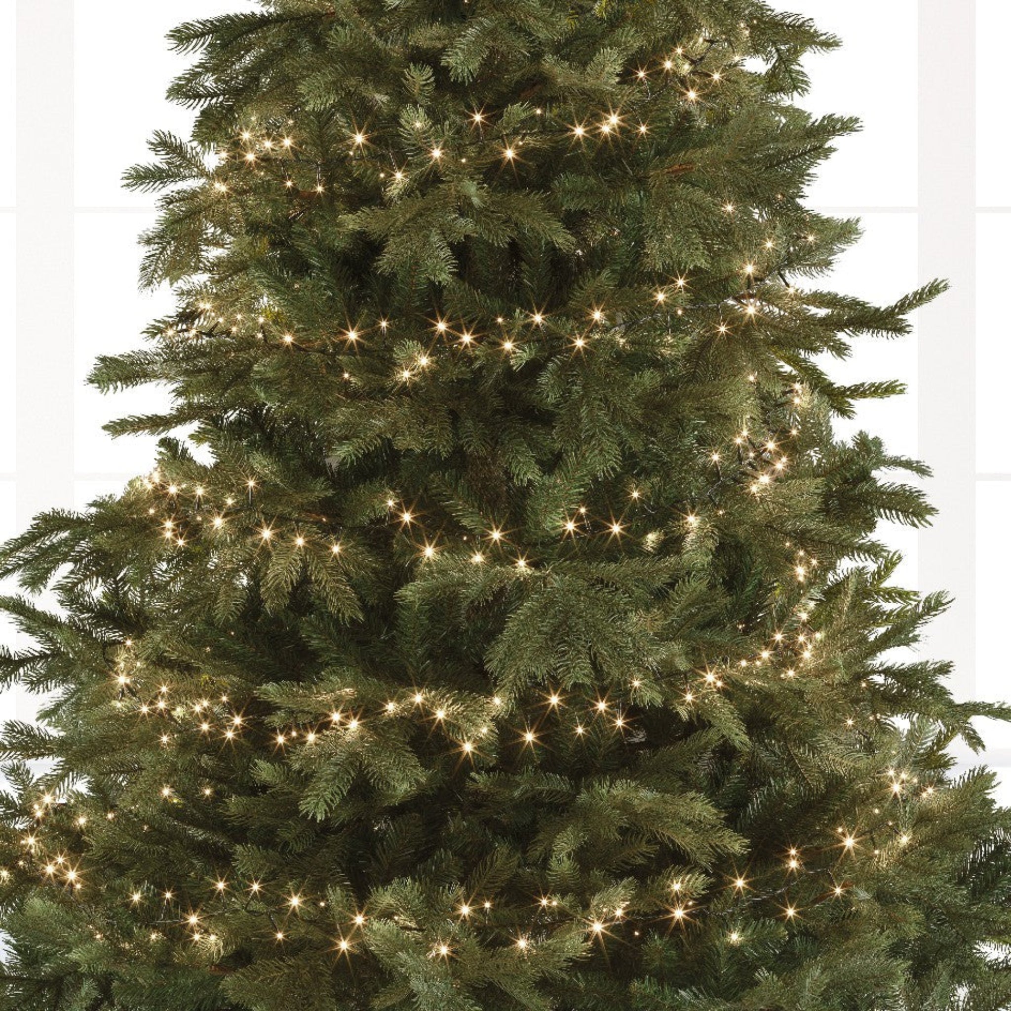 Compact 2000 LED Warm White Lights - 2000 Warm White LED Compact Lights Sterling Home 3