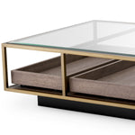 Eichholtz Roxton Coffee Table Brushed Brass Finish Clear Glass Grey Veneer - Coffee Table Brushed Brass Finish Clear Glass Grey Veneer Side Tables Sterling Home 4