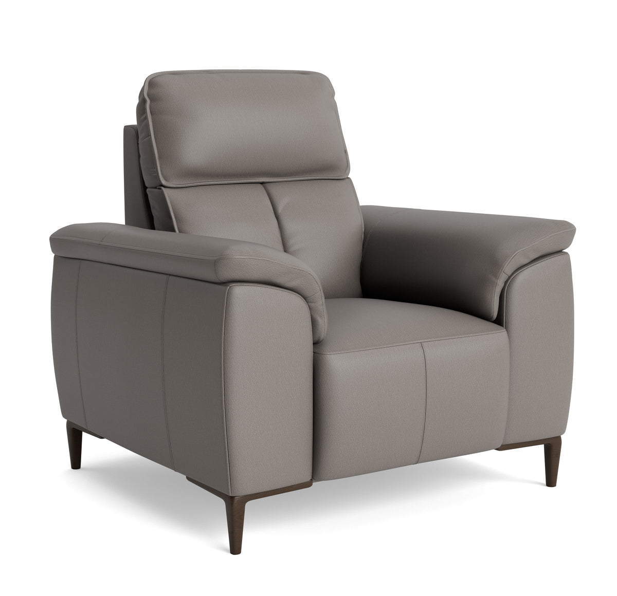 Loma Armchair - Armchair Cat 20S — NWS-042E ELEPHANT, gallery image 1