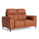 Loma 2 Seater Sofa - 2 Seater Sofa Cat 20S — NWS-605D WARM BROWN, gallery image 1