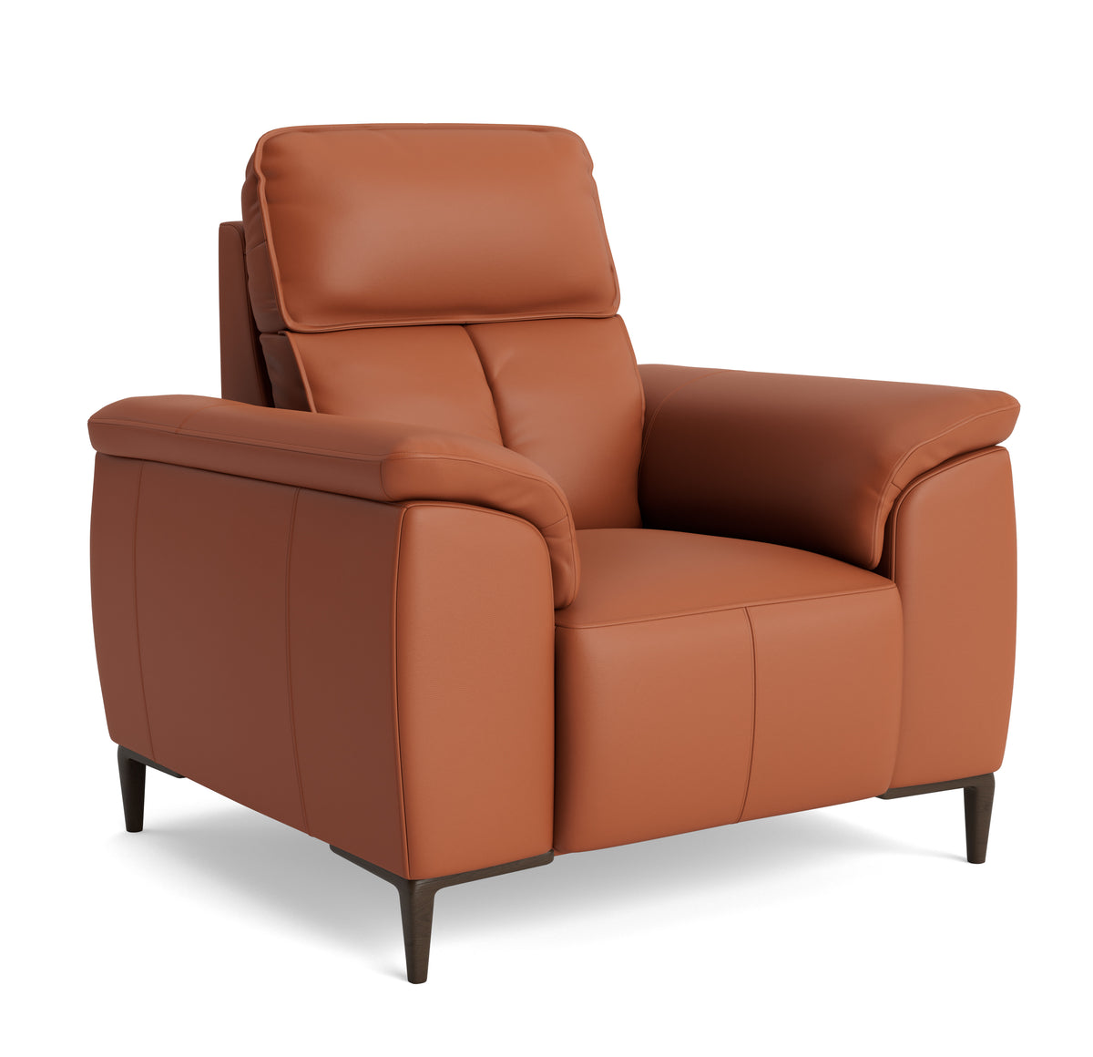 Loma Armchair - Armchair Cat 20S — NWS-605D WARM BROWN, gallery image 1