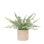Artificial Potted Fern - Potted Fern 35CM Sterling Home 3