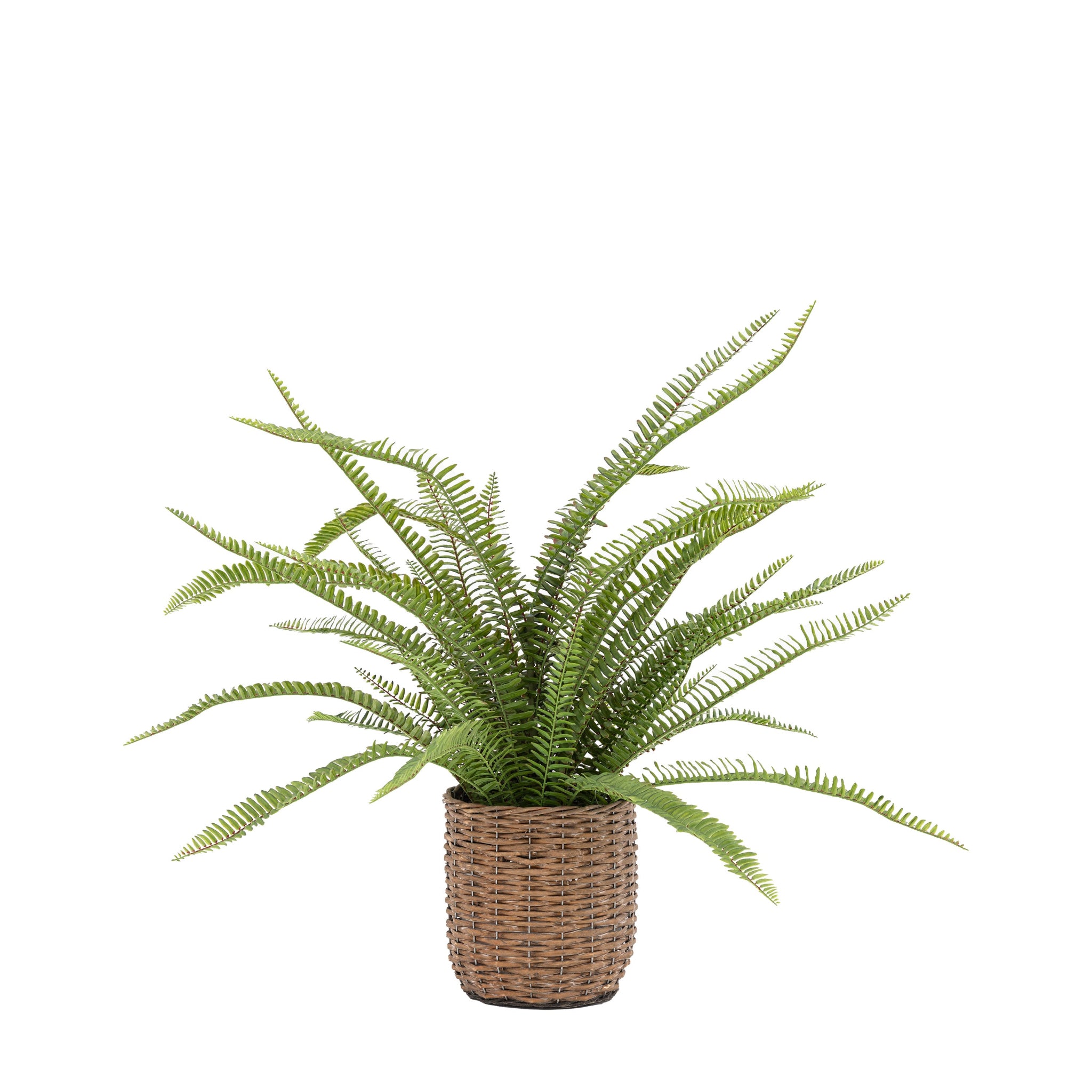 Artificial Potted Fern Plant Large - Potted Fern Plant 98CM Sterling Home 3