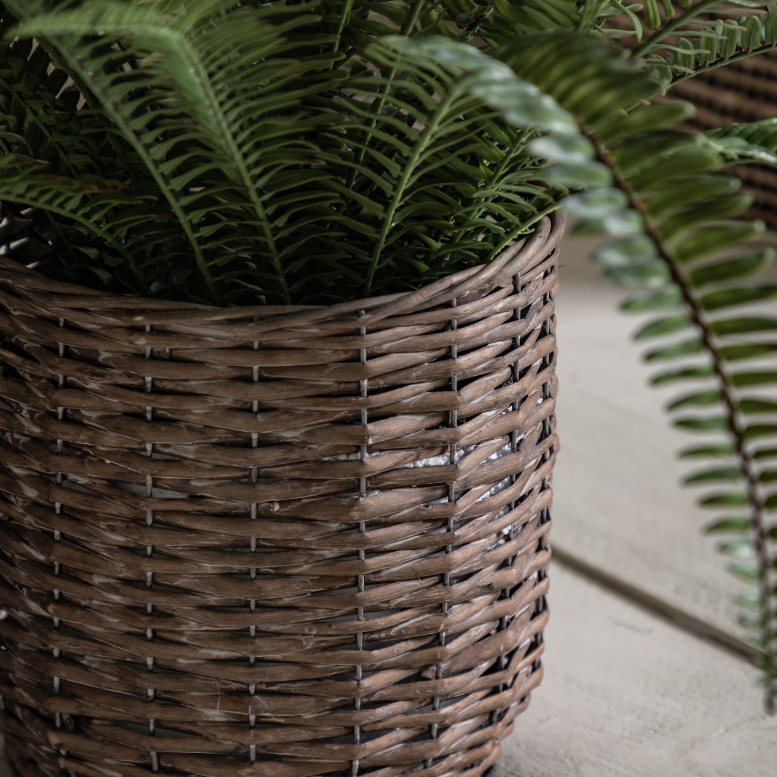 Artificial Potted Fern Plant Large - Potted Fern Plant 98CM Sterling Home 2