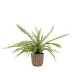 Artificial Potted Fern Plant Small - Potted Fern Plant 81CM Sterling Home 3