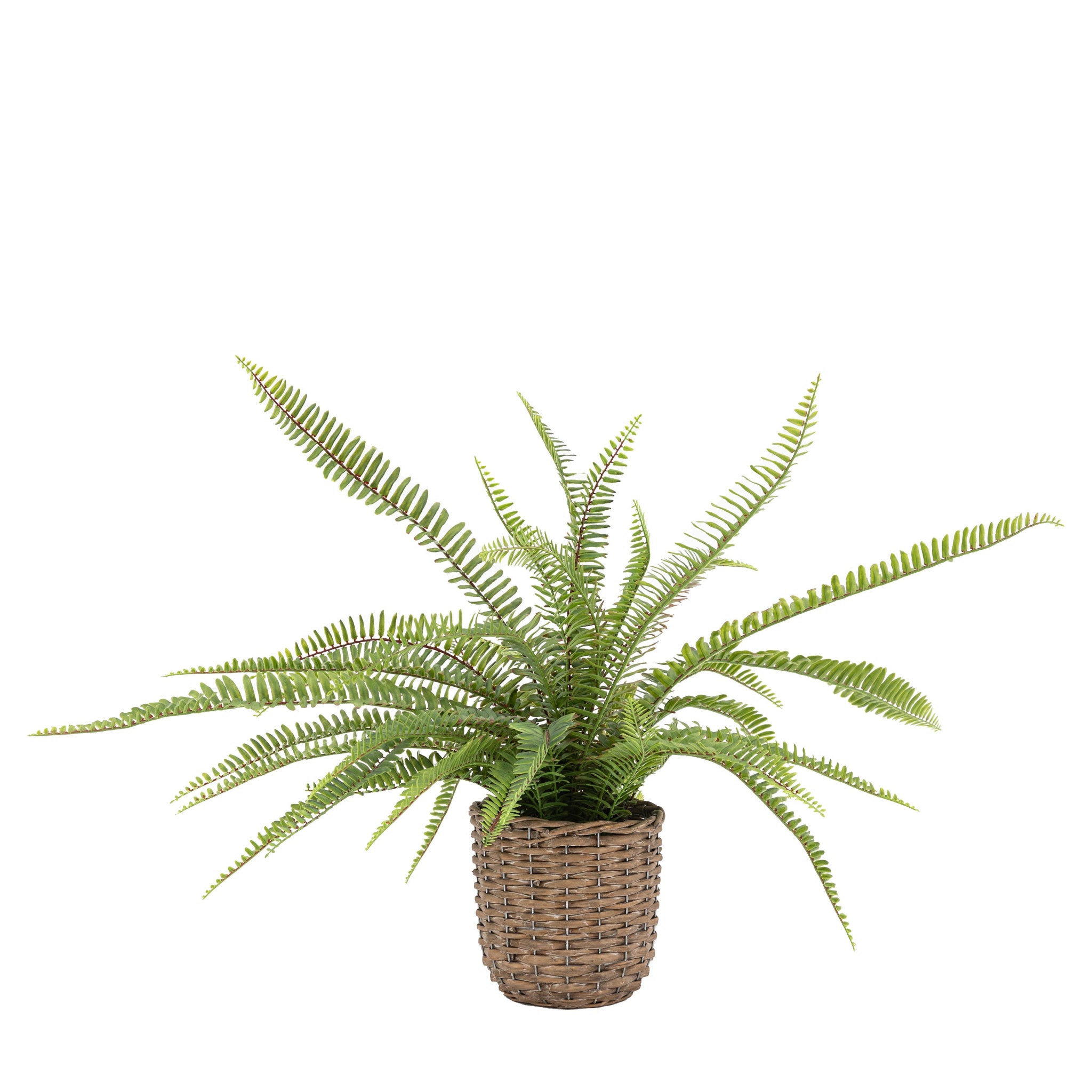 Artificial Potted Fern Plant Small - Potted Fern Plant 81CM Sterling Home 3