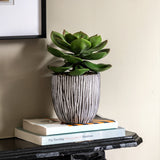 Artificial Potted Succulent In Ribbed Black Pot