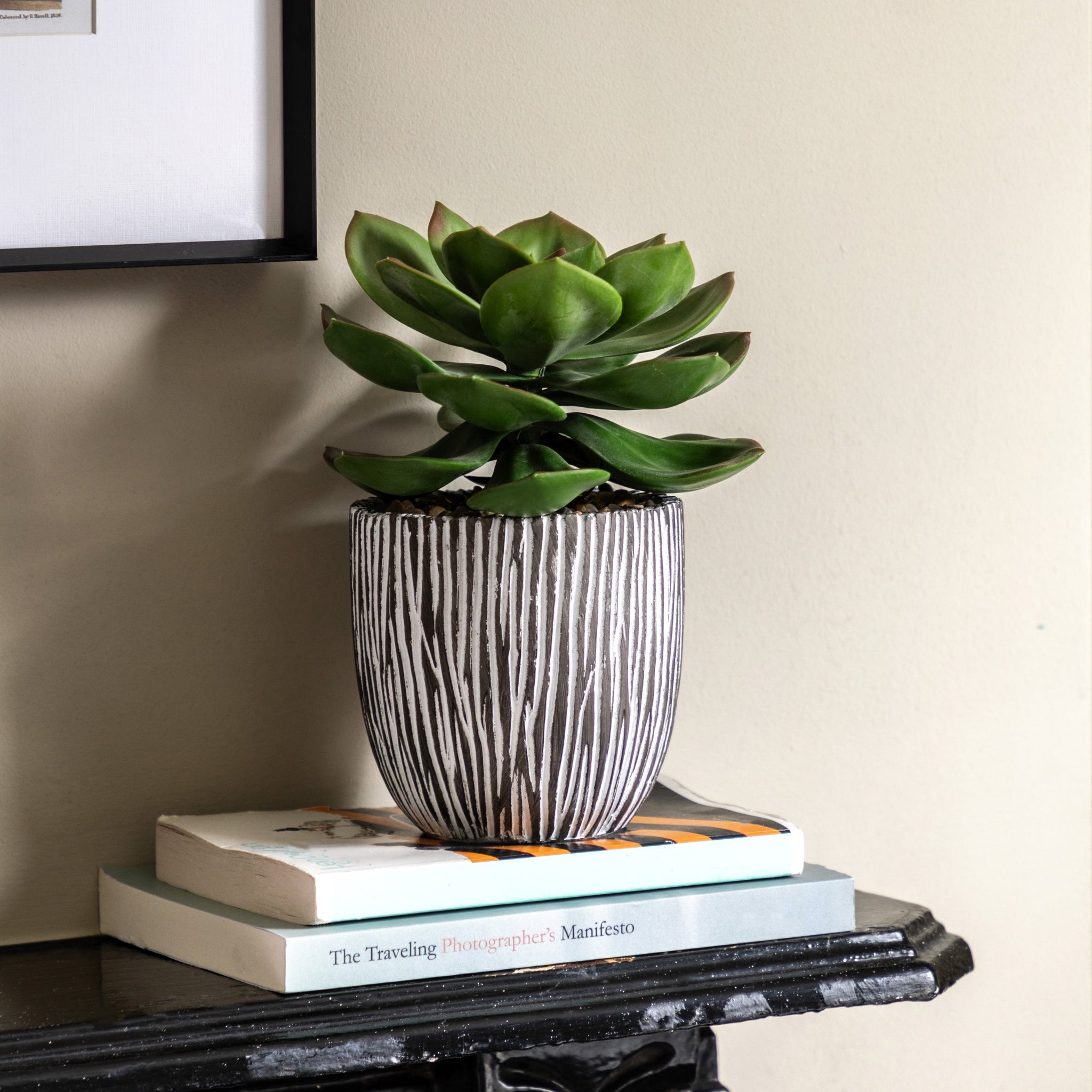 Artificial Potted Succulent In Ribbed Black Pot - Potted Succulent in Ribbed Black Ceramic Pot Sterling Home 1
