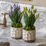 Spring Hydrangea In Ceramic Pots Set Of 2 - DHD Spring Hydrangea White in Ceramic Pots 2Pk Sterling Home 1