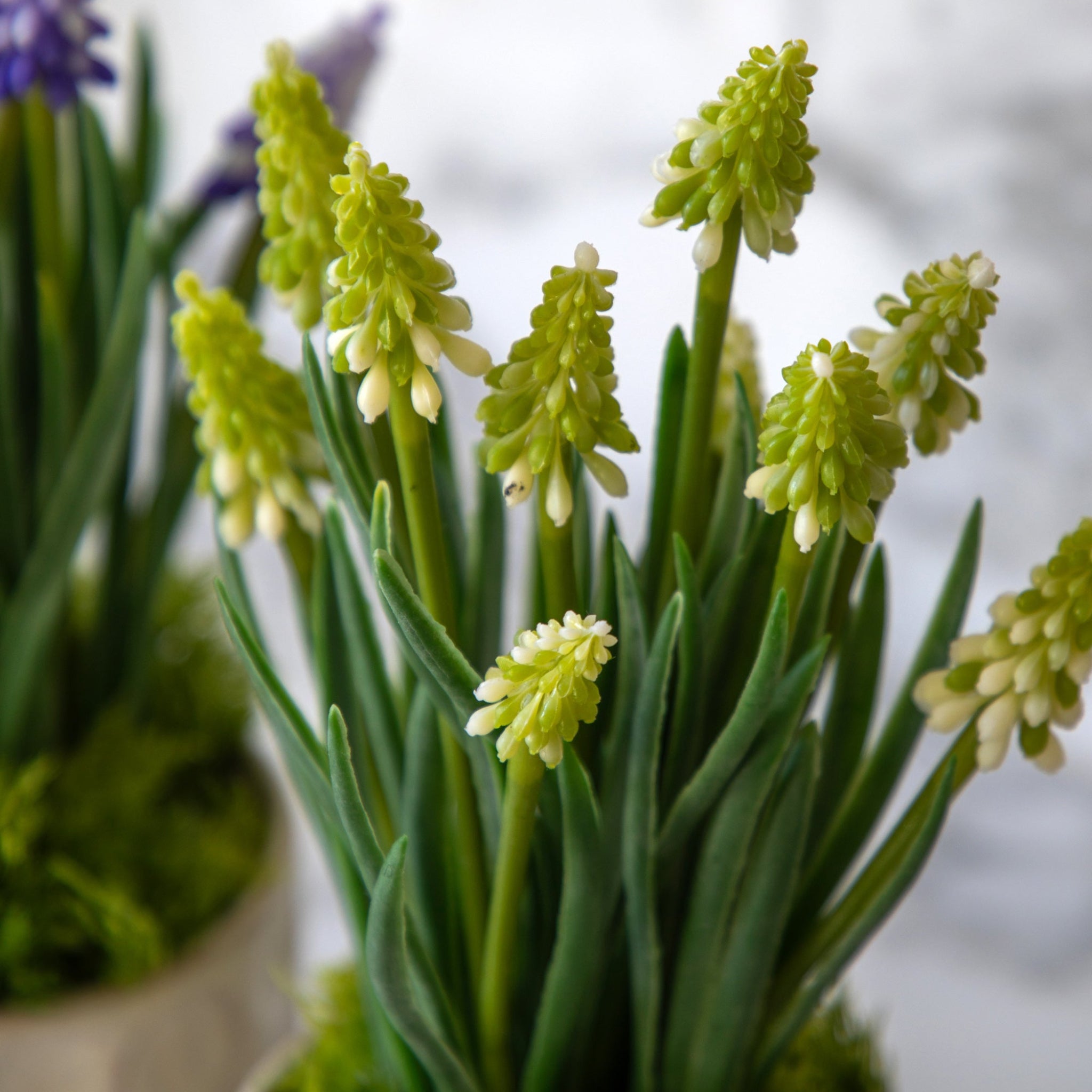 Spring Hydrangea In Ceramic Pots Set Of 2 - DHD Spring Hydrangea White in Ceramic Pots 2Pk Sterling Home 2