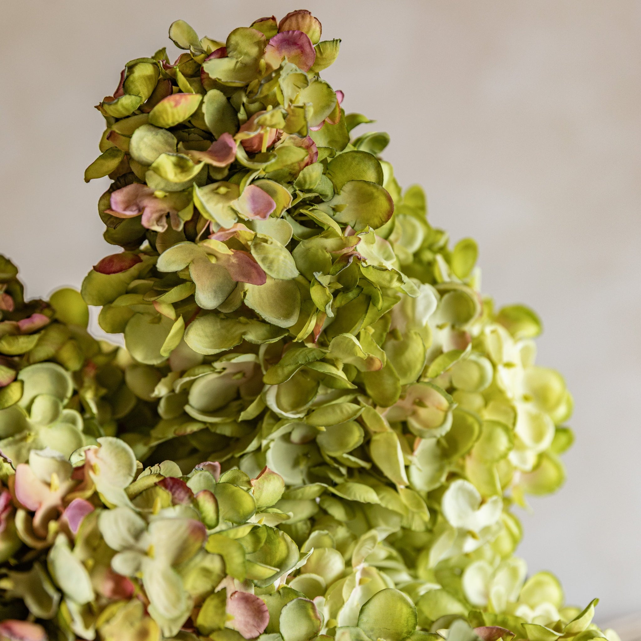 Set Of 12 Vintage Cone Hydrandea Stem White - DHD Vintage Cone Hydrandea Stem White 12Pk Sterling Home 3