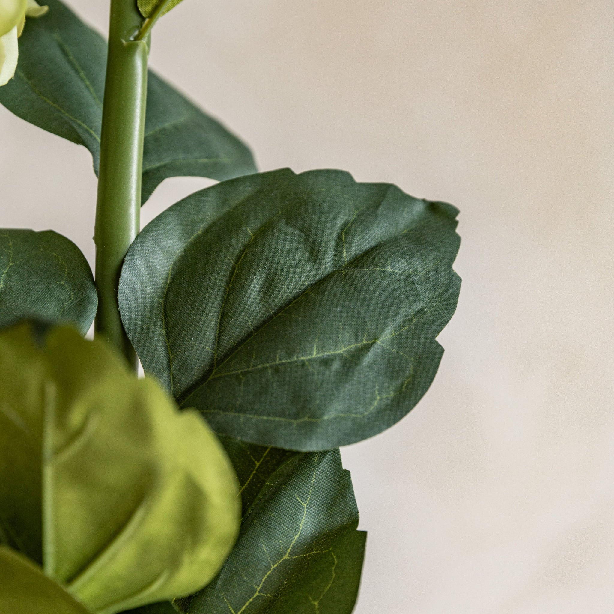 Set Of 12 Vintage Cone Hydrandea Stem White - DHD Vintage Cone Hydrandea Stem White 12Pk Sterling Home 2