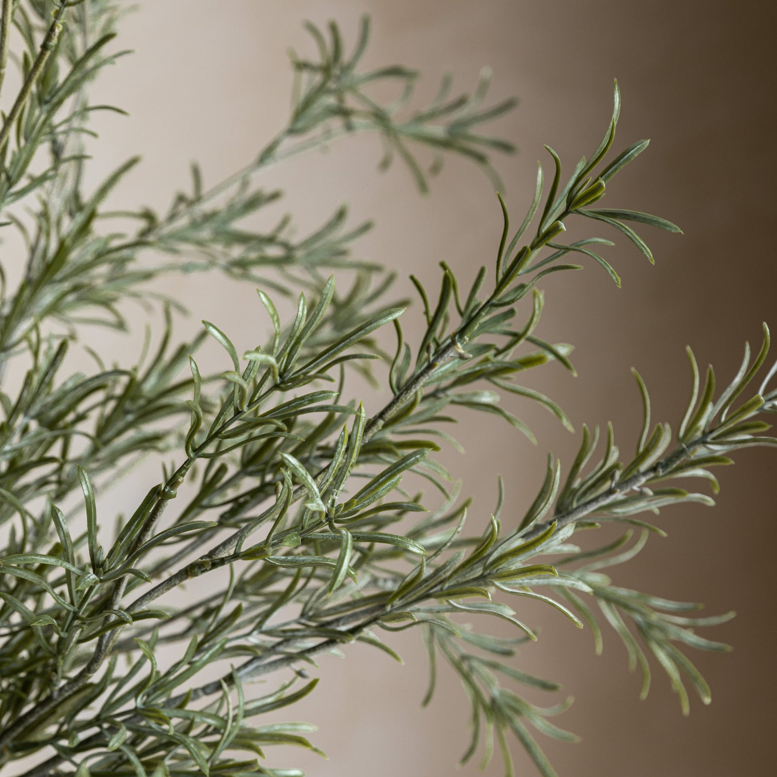 Rosemary Green Set Of 12 Artificial Flowers - DHD Faux Stem Rosemary Green 81CM 12Pk Sterling Home 3