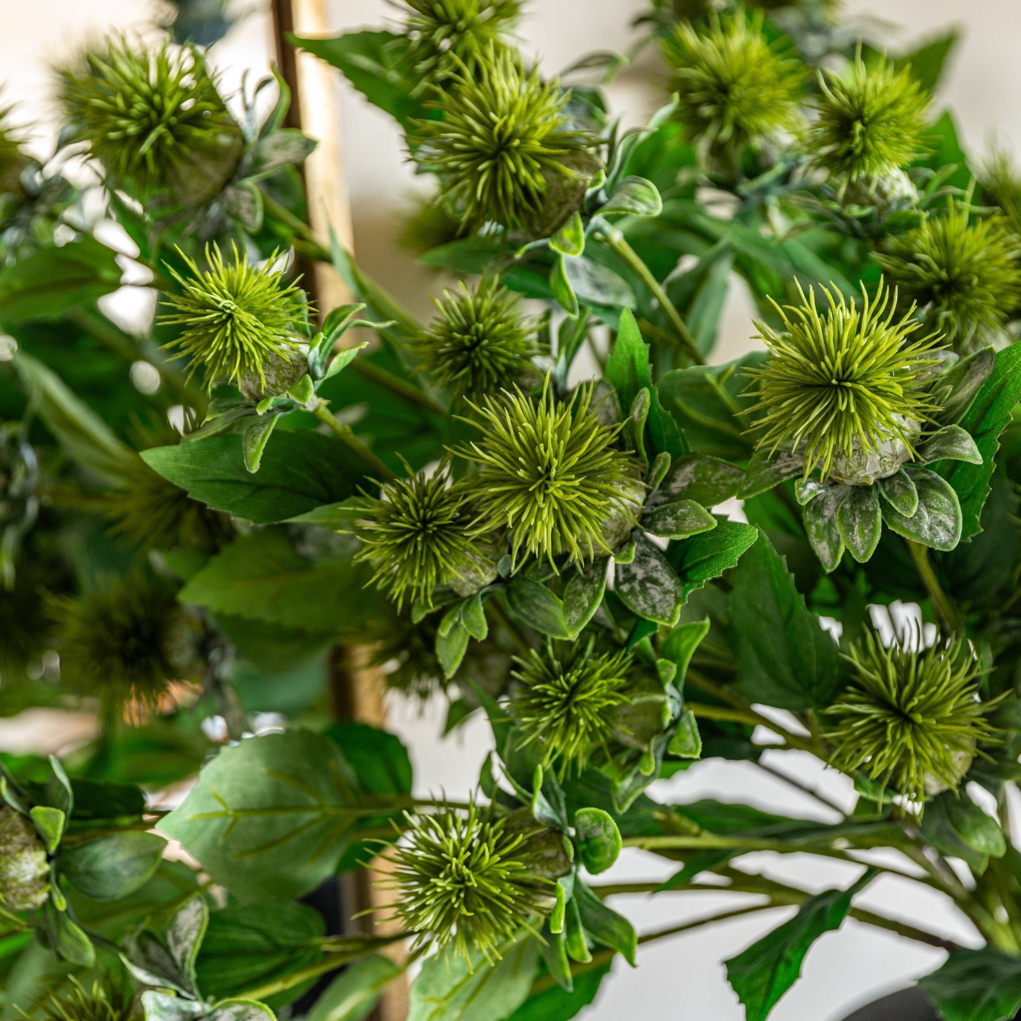 Thistle Green Set Of 12 Artificial Flowers - DHD Faux Stem Thistle Green 79CM 12PK Sterling Home 3