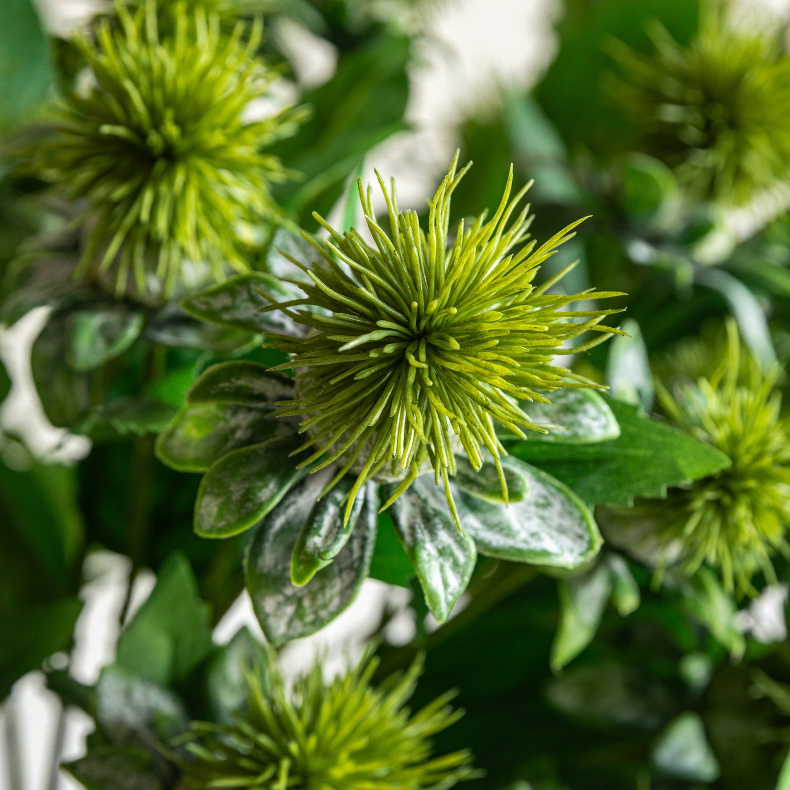 Thistle Green Set Of 12 Artificial Flowers - DHD Faux Stem Thistle Green 79CM 12PK Sterling Home 2