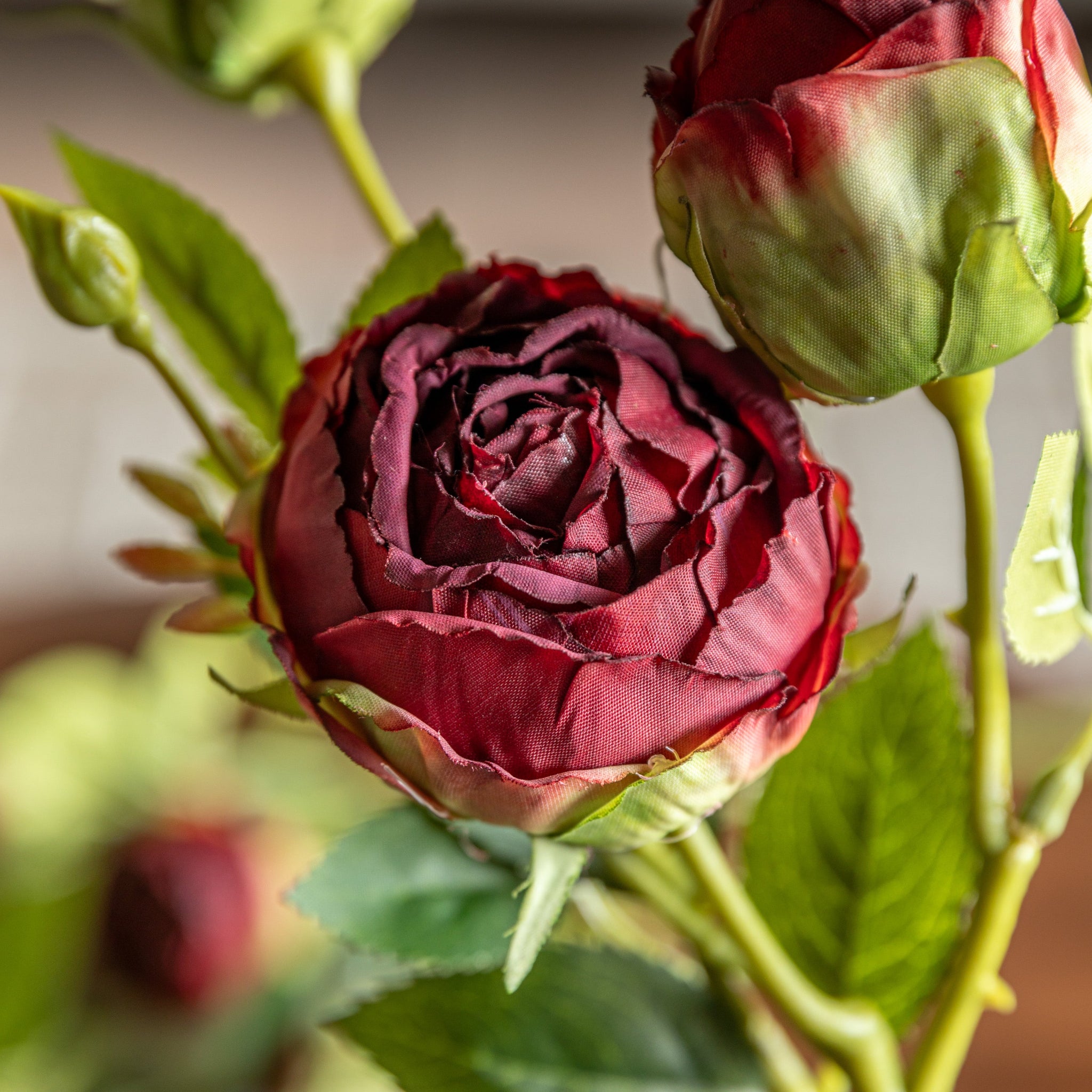 Vinatage Rose Set Of 6 Artificial Flowers - DHD Faux Stem Vintage Rose Claret 54CM 6Pk Sterling Home 2