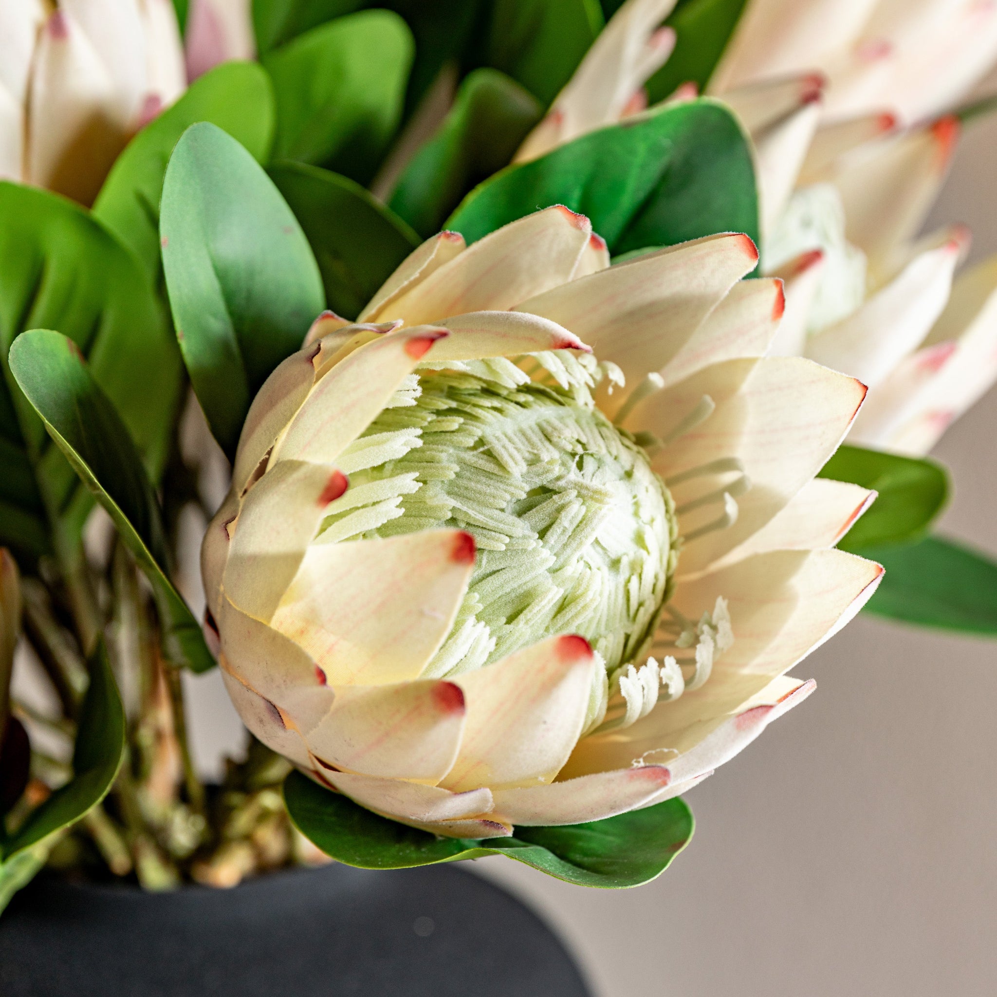 Statement Tropical Set Of 12 Cream Artificial Flowers - DHD Faux Stem Statement Tropical Ivory 47CM 12Pk Sterling Home 2