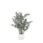 Artificial Eucalyptus In Ceramic Pot - Faux Eucalyptus in Ceramic Pot Ivory Sterling Home 3