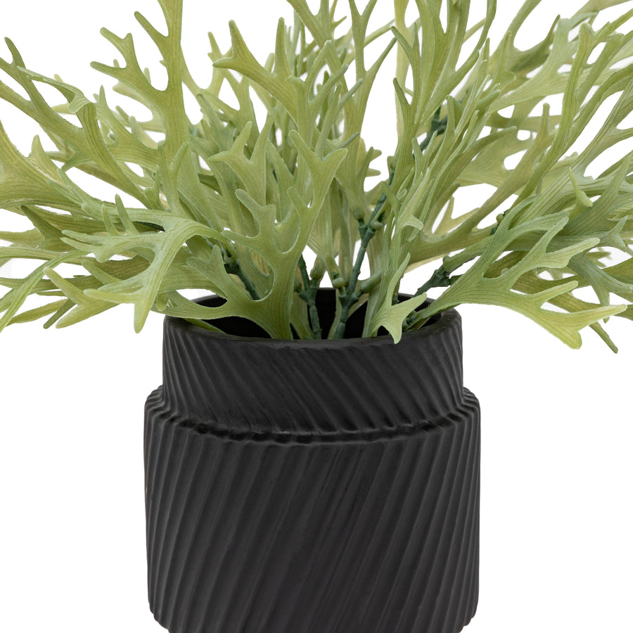 Artificial Playycerium In Green Ceramic Pot - Faux Playycerium in Ceramic Pot Sage Green Sterling Home 2