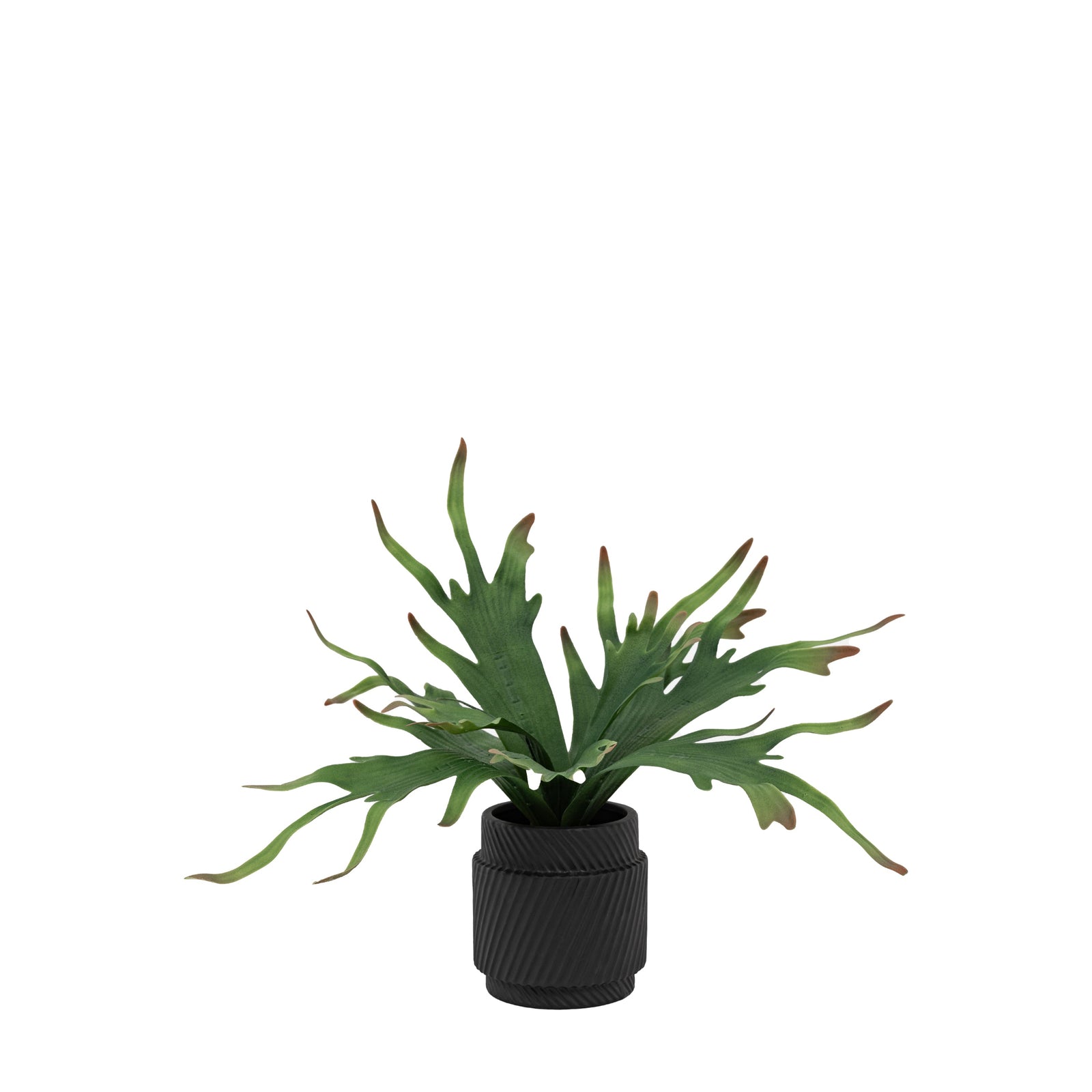 Artificial Playycerium In Multi Colour Ceramic Pot - Faux Playycerium Multi Colour in Ceramic Pot Sterling Home 3