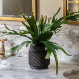 Artificial Playycerium In Multi Colour Ceramic Pot