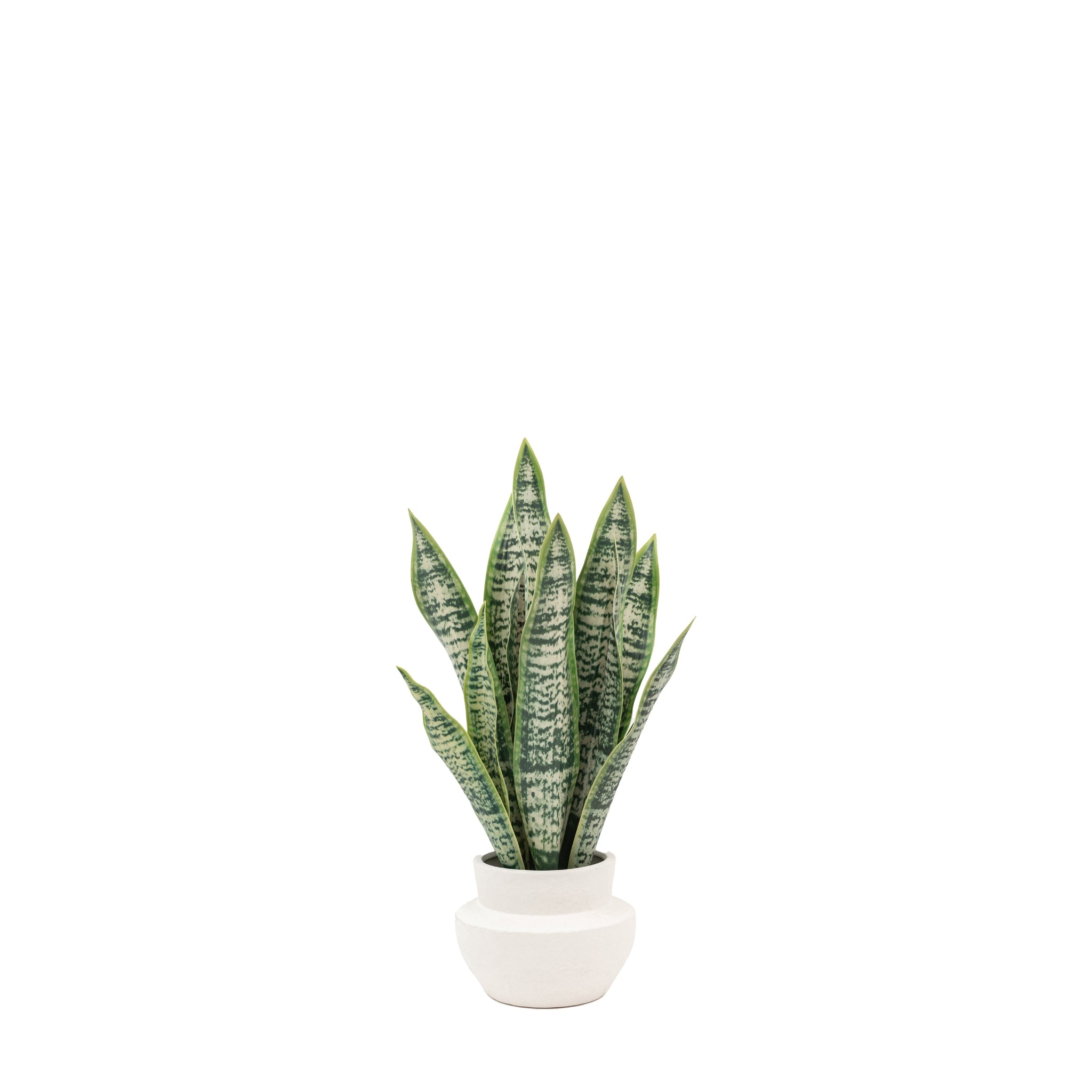 Artificial Snake Plant In Ceramic Pot - Faux Snake Plant in Ceramic Pot Sterling Home 3
