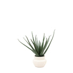 Artificial Aloe Vera In Ceramic Pot - Faux Aloe Vera in Ceramic Pot 41X46CM Sterling Home 4