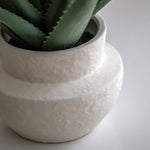 Artificial Aloe Vera In Ceramic Pot - Faux Aloe Vera in Ceramic Pot 41X46CM Sterling Home 3