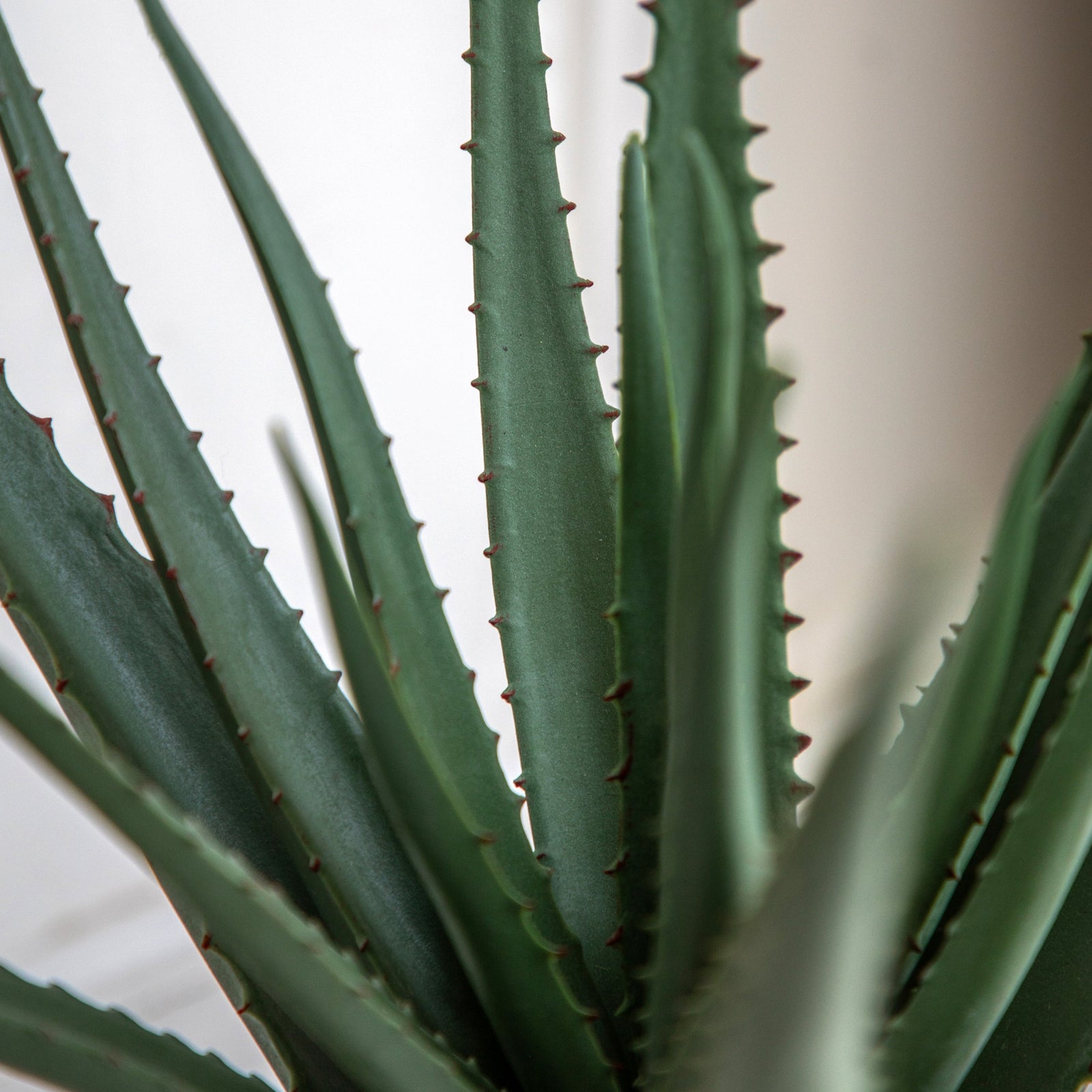 Artificial Aloe Vera In Ceramic Pot - Faux Aloe Vera in Ceramic Pot 41X46CM Sterling Home 2