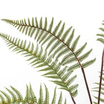 Artificial Tall Fern In Grey Textured Pot - Tall Fern in Textured Grey Ceramic Pot Sterling Home 3