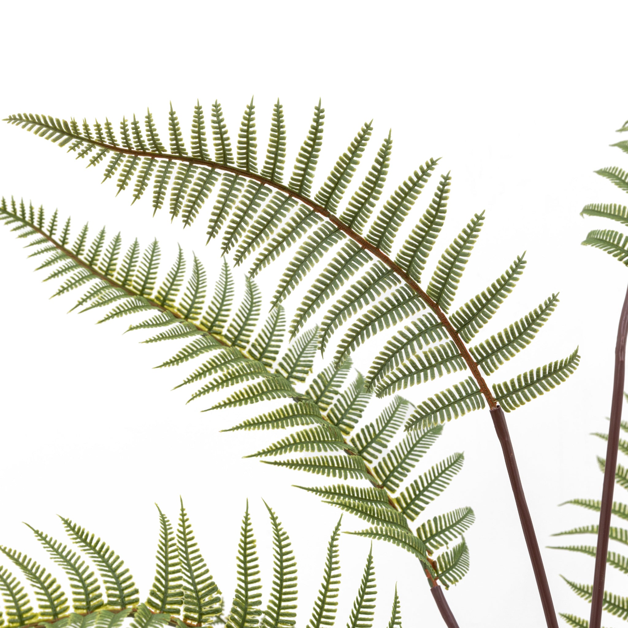 Artificial Tall Fern In Grey Textured Pot - Tall Fern in Textured Grey Ceramic Pot Sterling Home 3