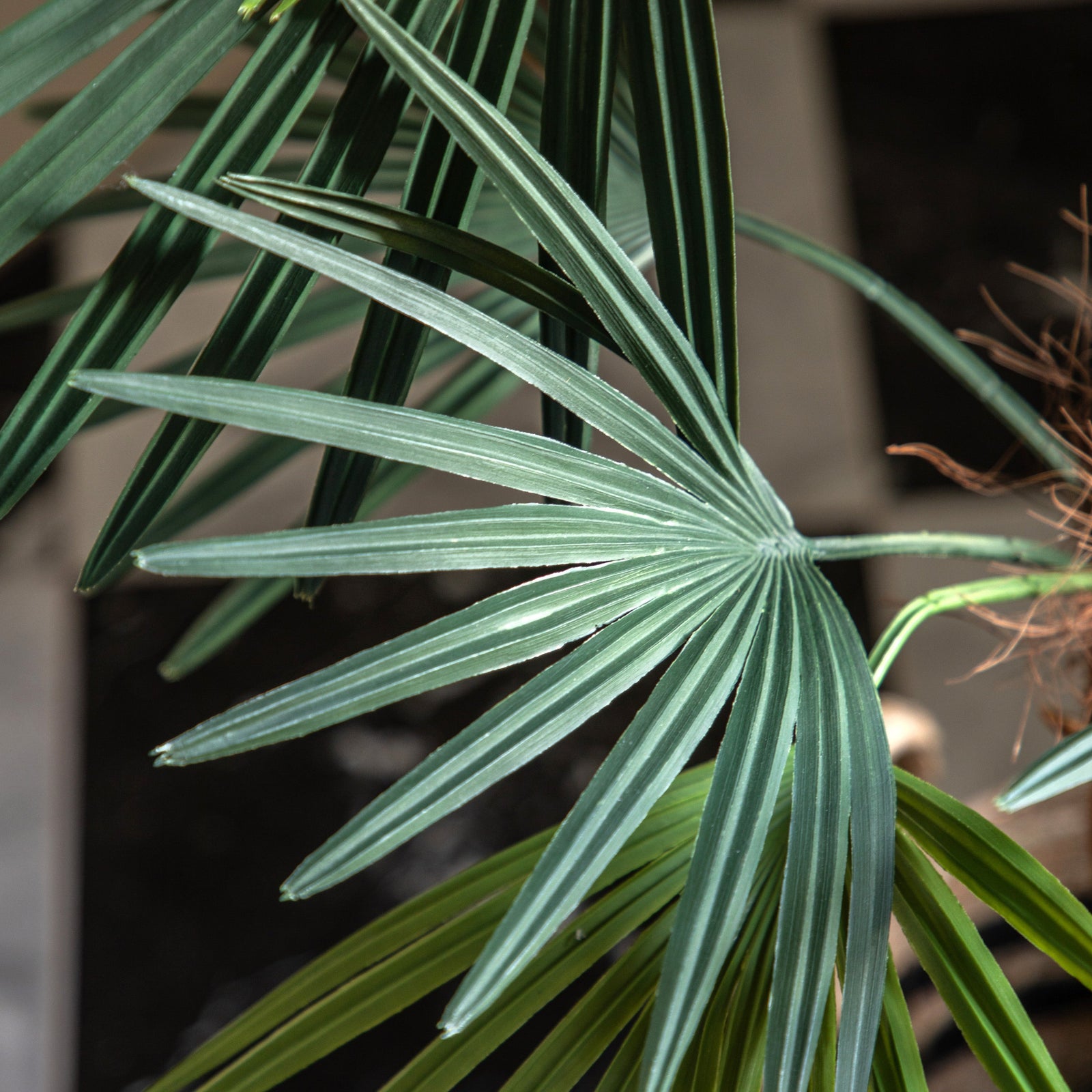Artificial Potted Statement Palm Small - Potted Statement Palm Small Sterling Home 3
