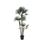 Artificial Potted Statement Palm Large - Potted Statement Palm Large Sterling Home 4