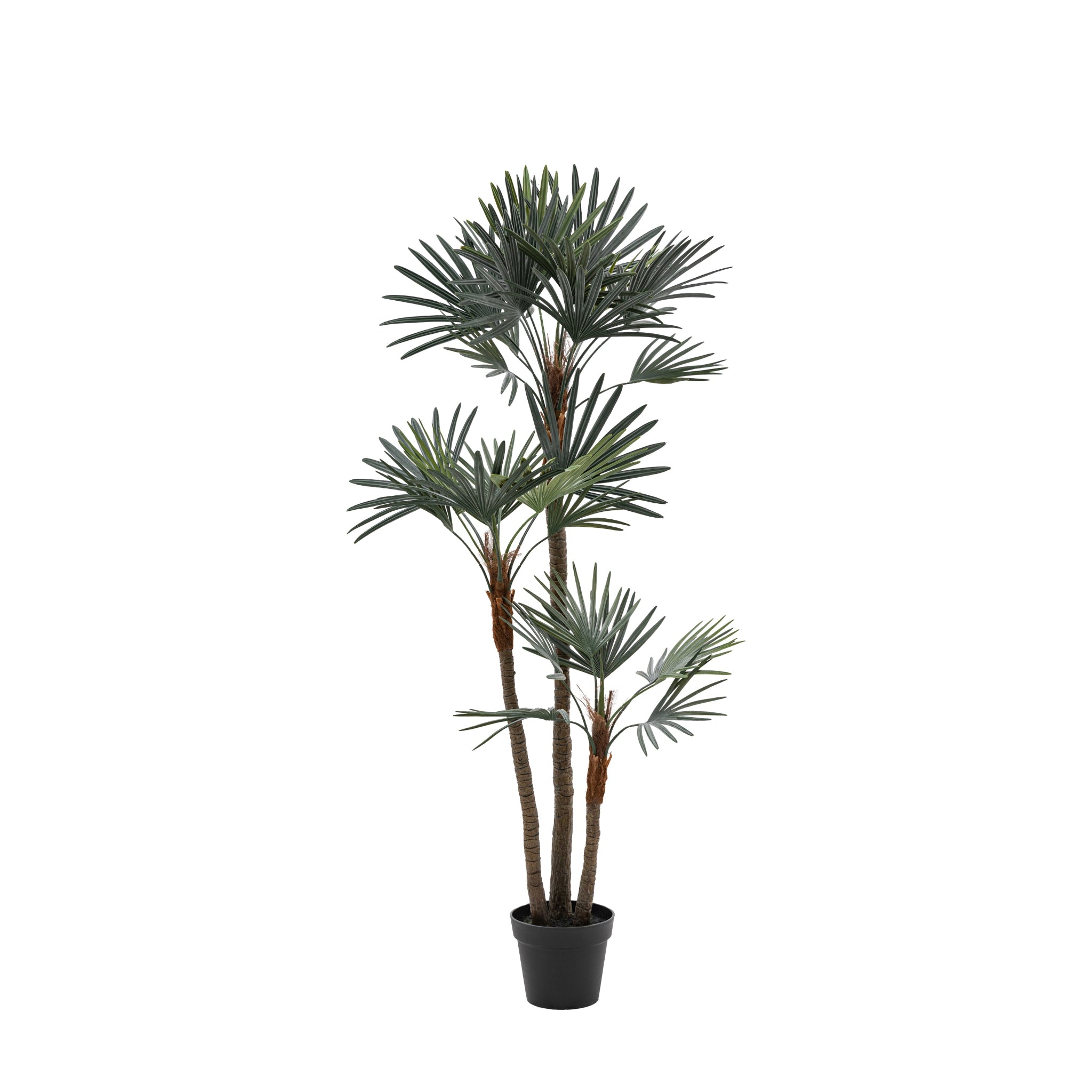 Artificial Potted Statement Palm Large - Potted Statement Palm Large Sterling Home 4