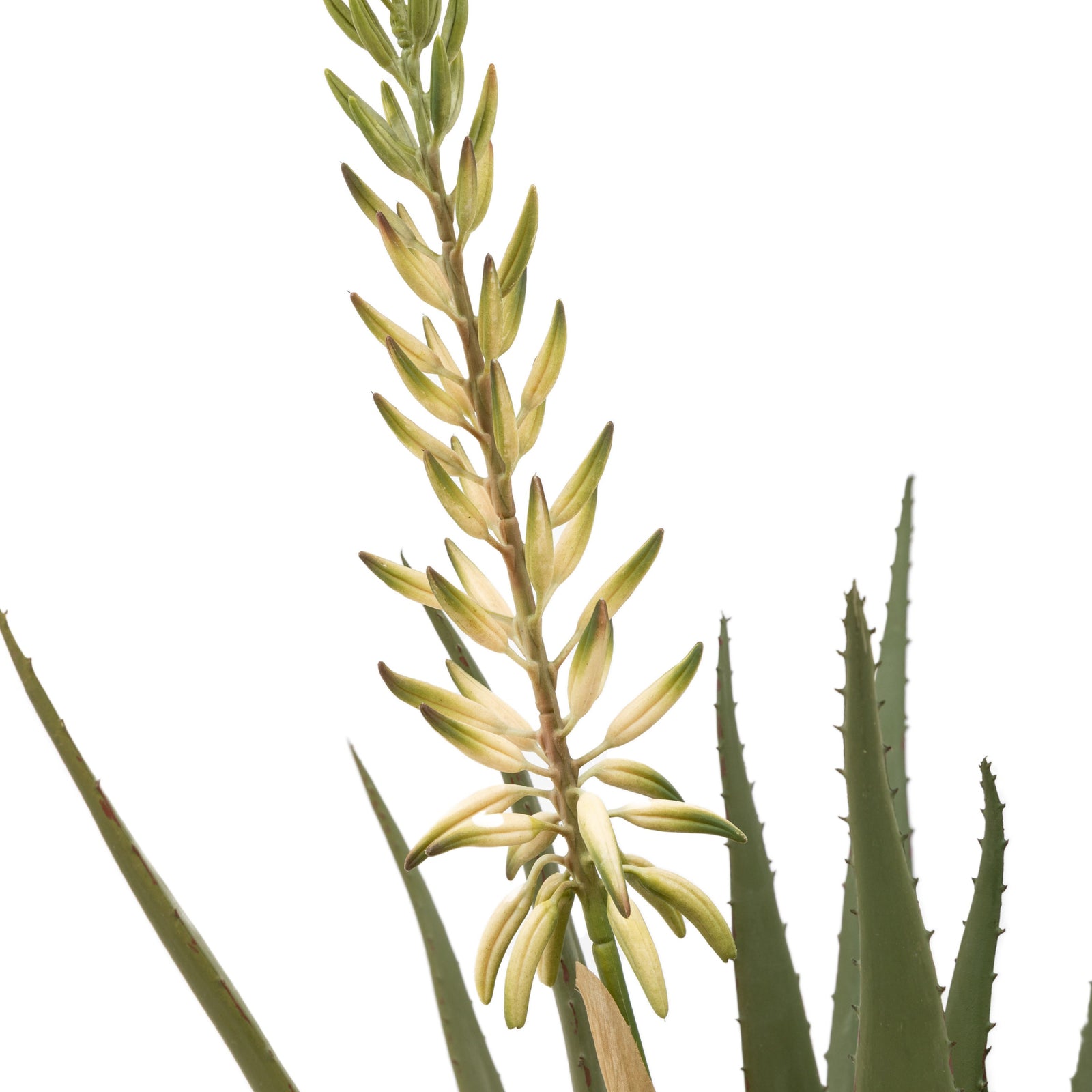 Artificial Aloe Potted Plant With White Flower - Aloe Potted Plant with White Flower Sterling Home 2
