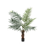Artificial King Kentia Palm Tree - Potted King Kentia Palm Tree 5ft Sterling Home 4